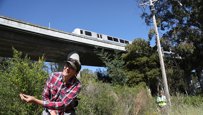 Natural beauty by BART: BART, Caltrain, and SFO converge at this nature preserve