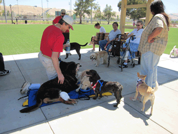 Dogs and their humans at the new Fremont dog park