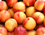 Nectarines