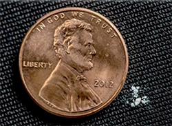 penny next to fentanyl grains
