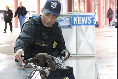 BART Police K-9