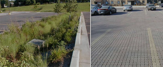 rain garden and pavers