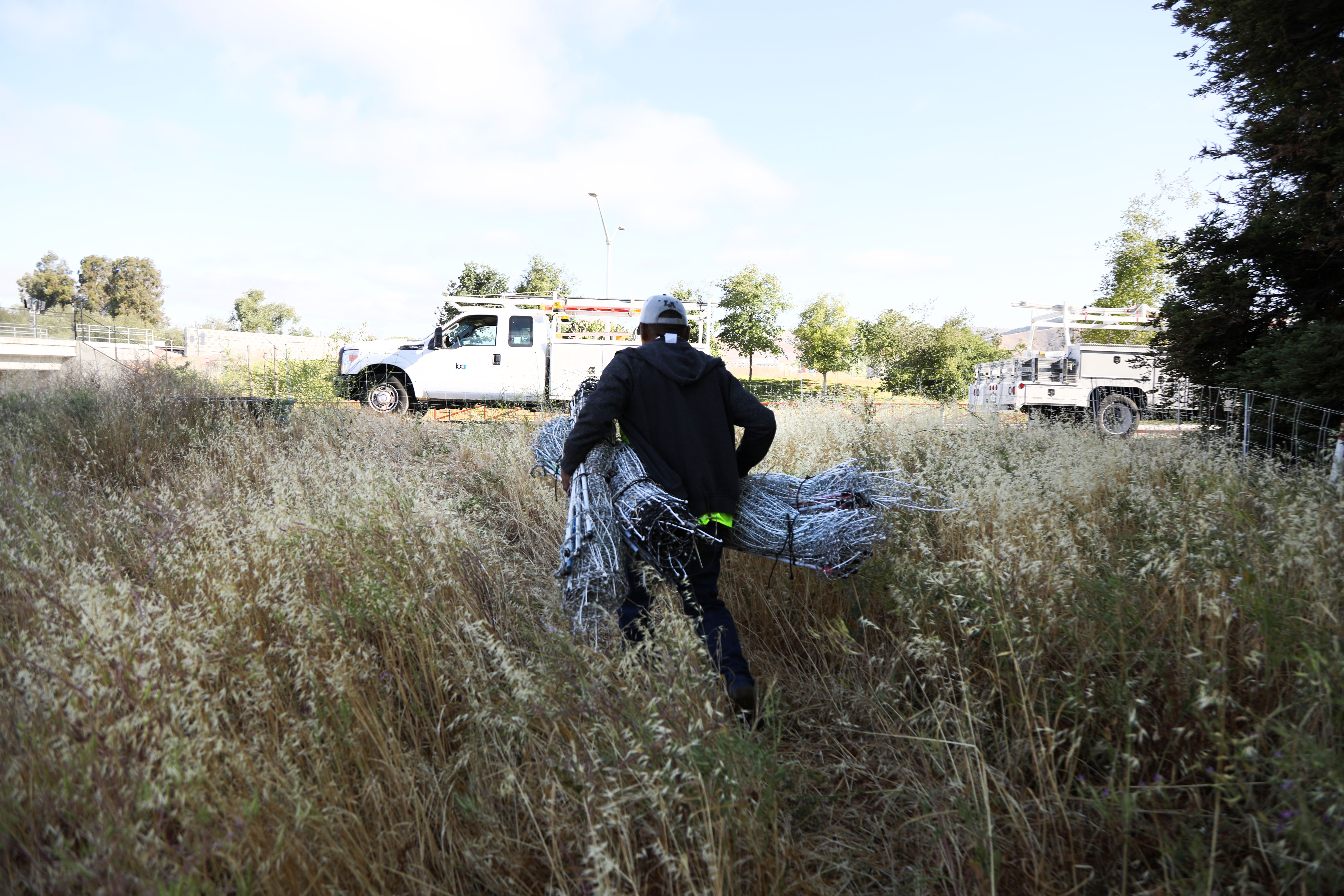 Ordonez carries fencing to create the next spot where the goats will graze 