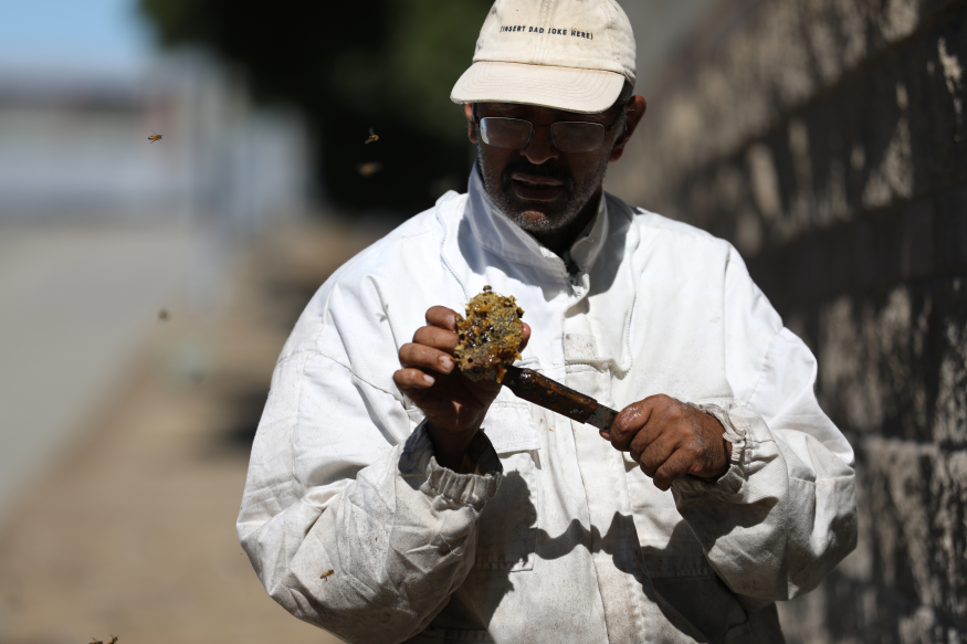 Local beekeeper makes honey with bees removed from BART property, protecting riders and helping to preserve the critical insect