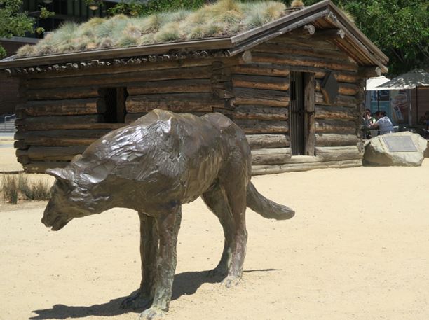 jack london cabin