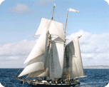 the tall ship Californian