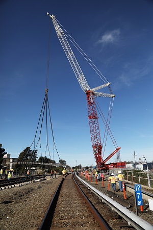 Image of crane by MARIA J. AVILA