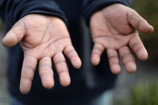 day laborer's hands