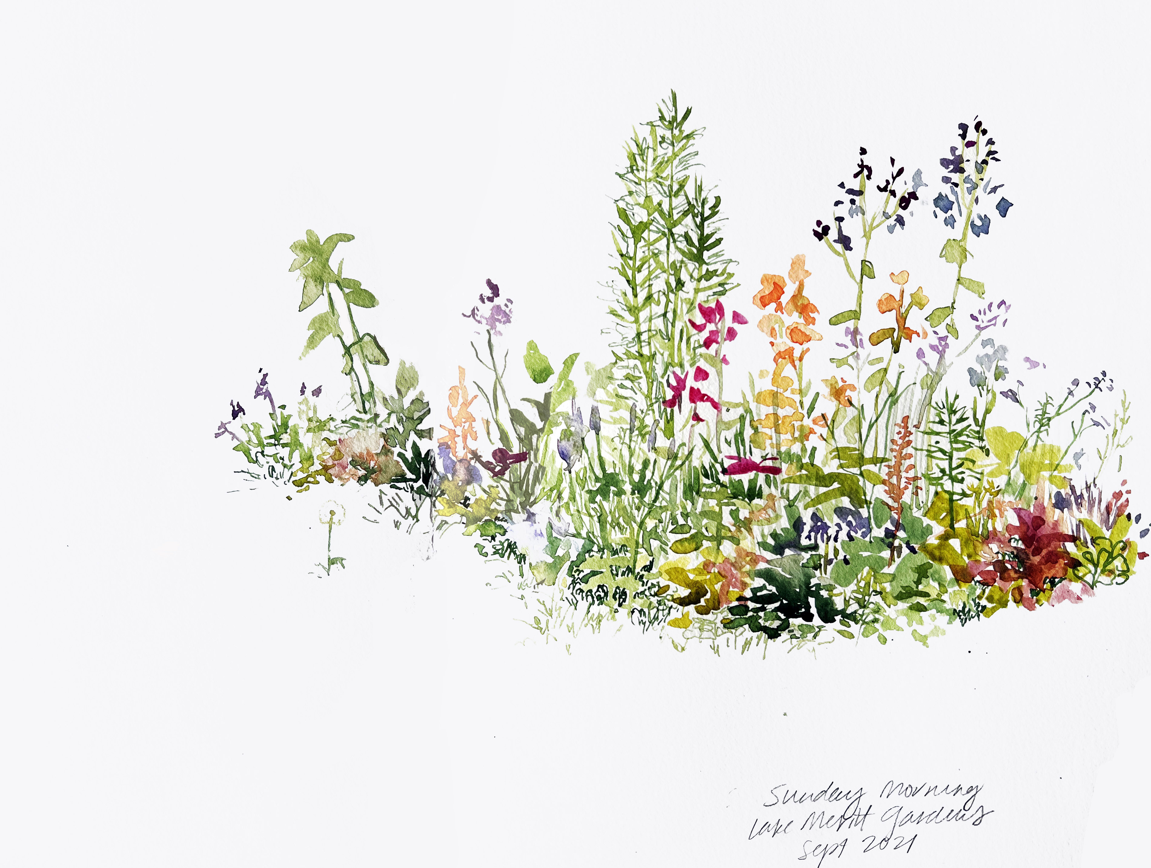 Watercolor painting of wildflowers on a white background painted by artist Courtney Cerruti