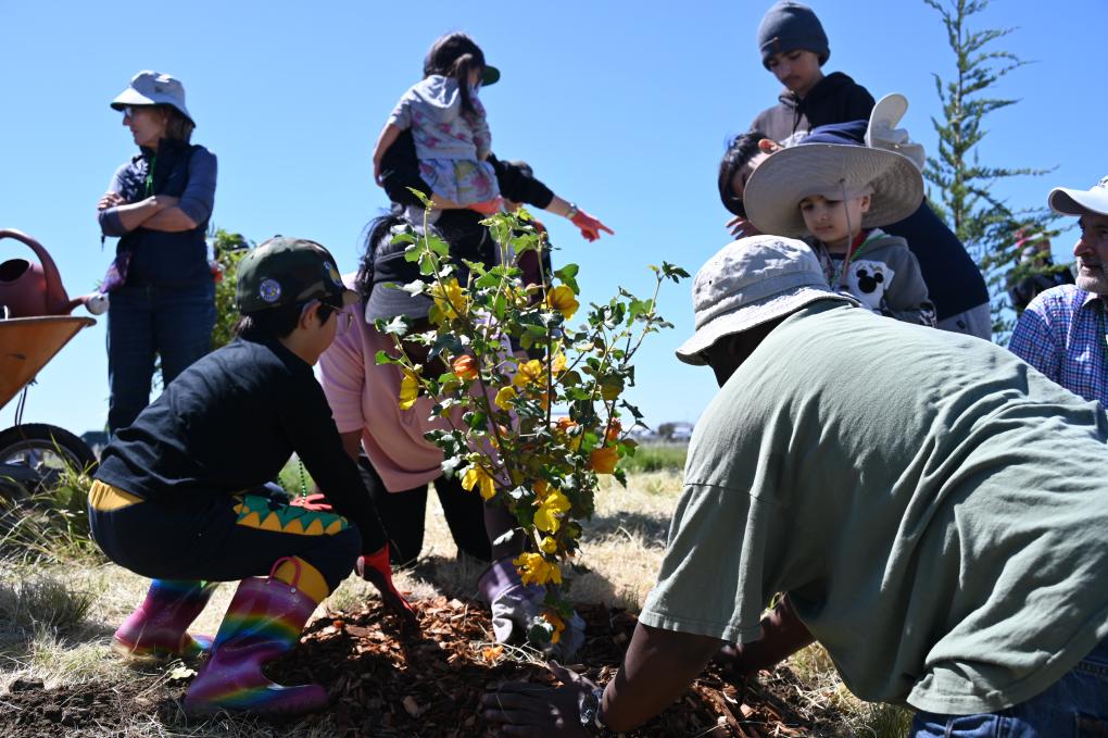 People plant trees during the Earth Day tree planting event