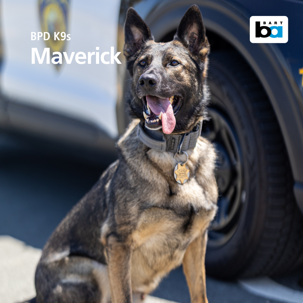 BART PD's K9 Unit