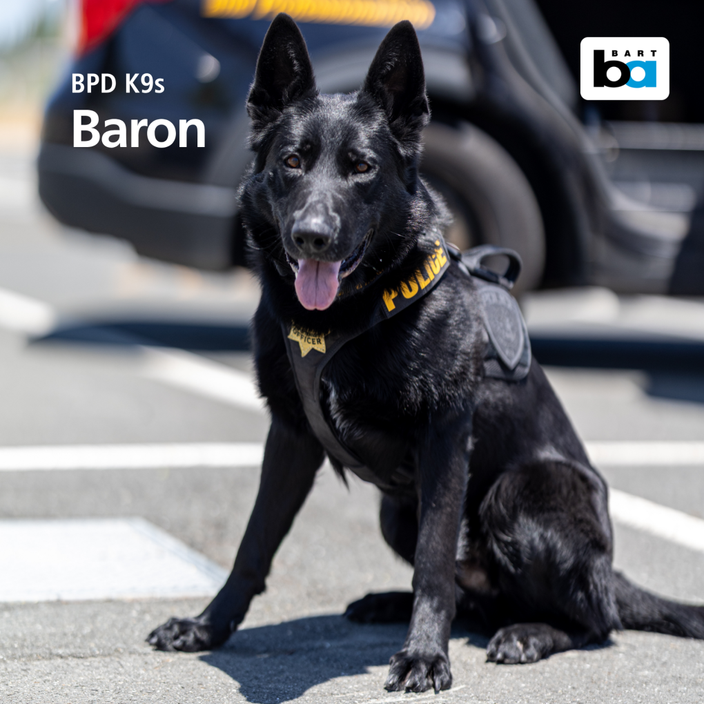 BART PD's K9 Unit