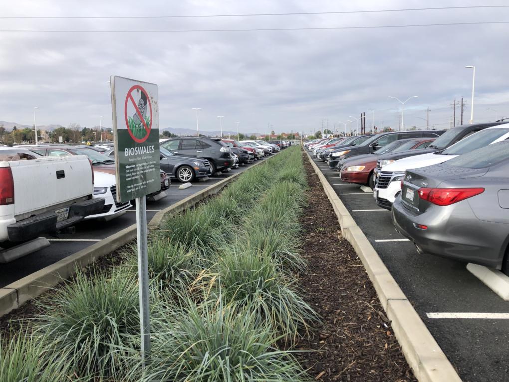 A bioretention planter at Antioch Station